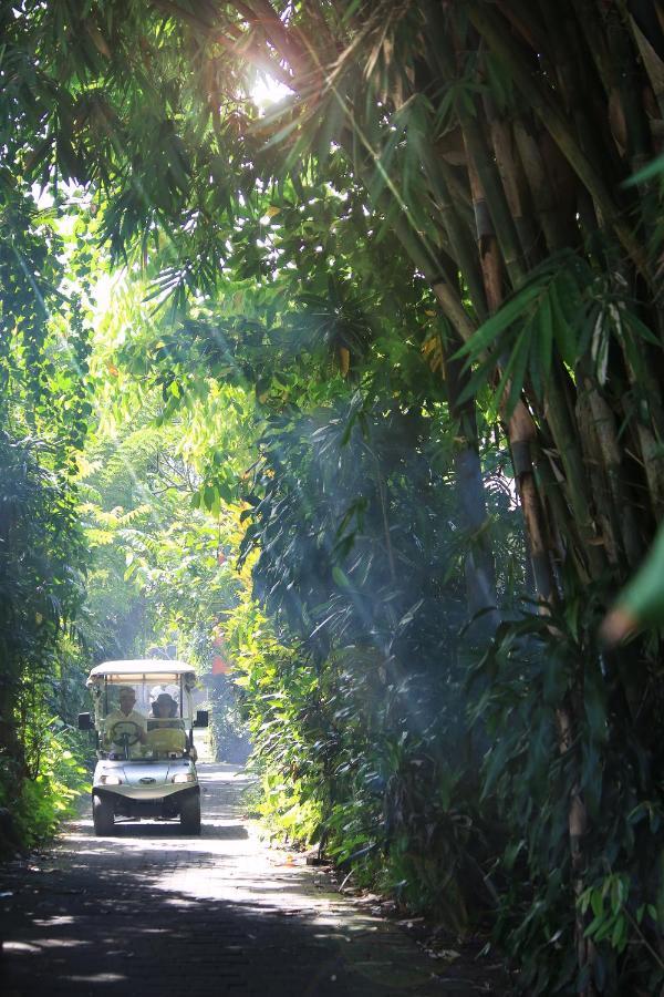Artist Village By Pramana Watu Kurung Ubud Zewnętrze zdjęcie